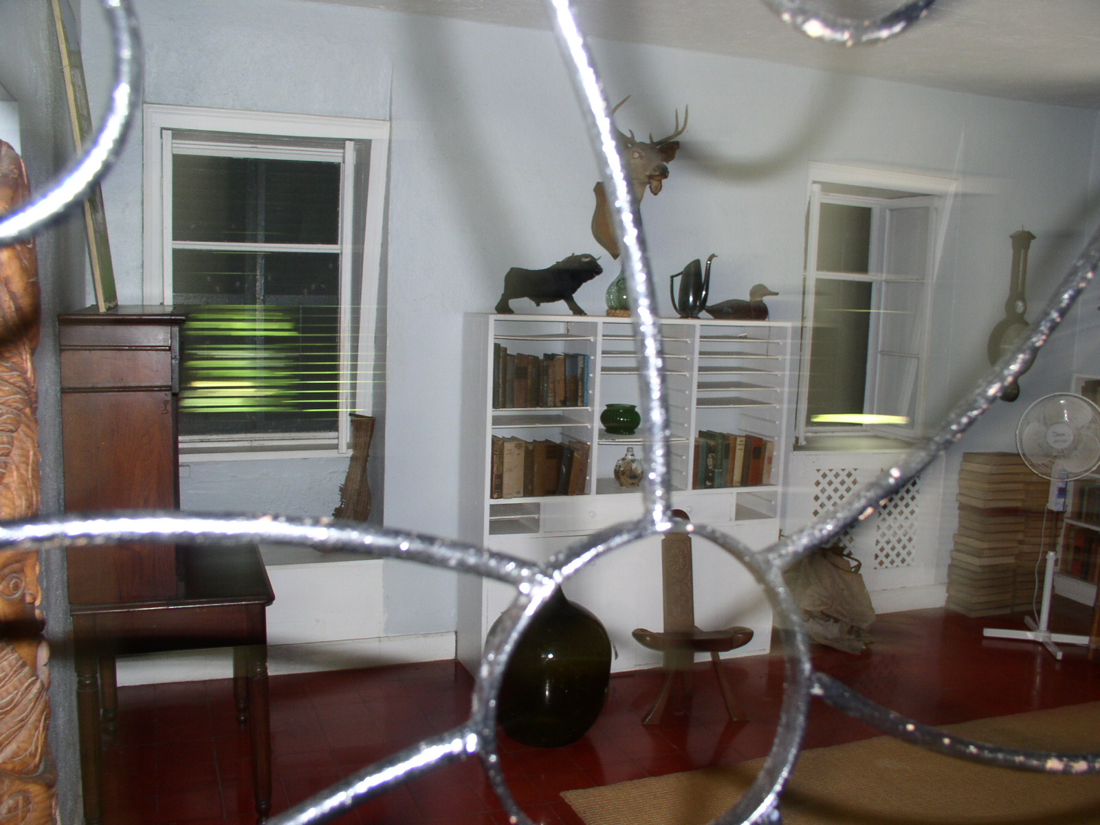 photo1
